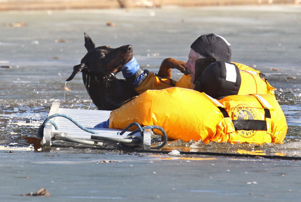 Fire Dept. Rescues dog from lake in O'Fallon Park