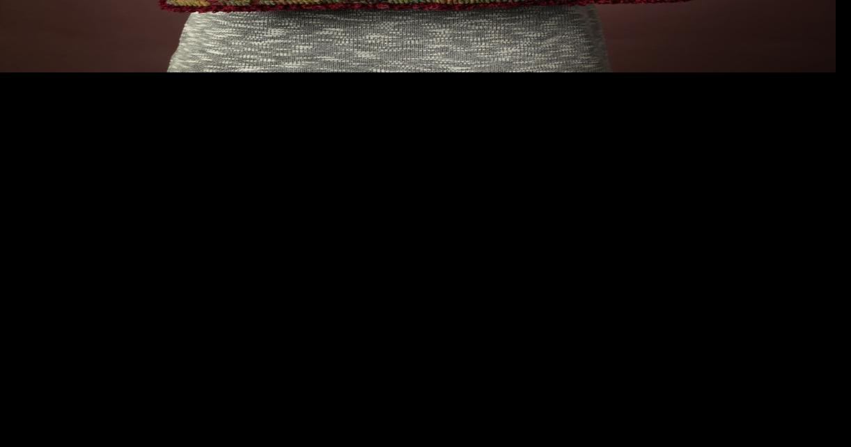 Made in St. Louis Rug hooking creates art with animals, presidents