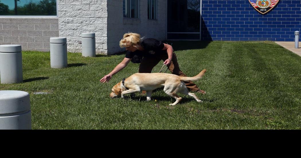 St. Charles County adding electronicsniffing dog to assist with child