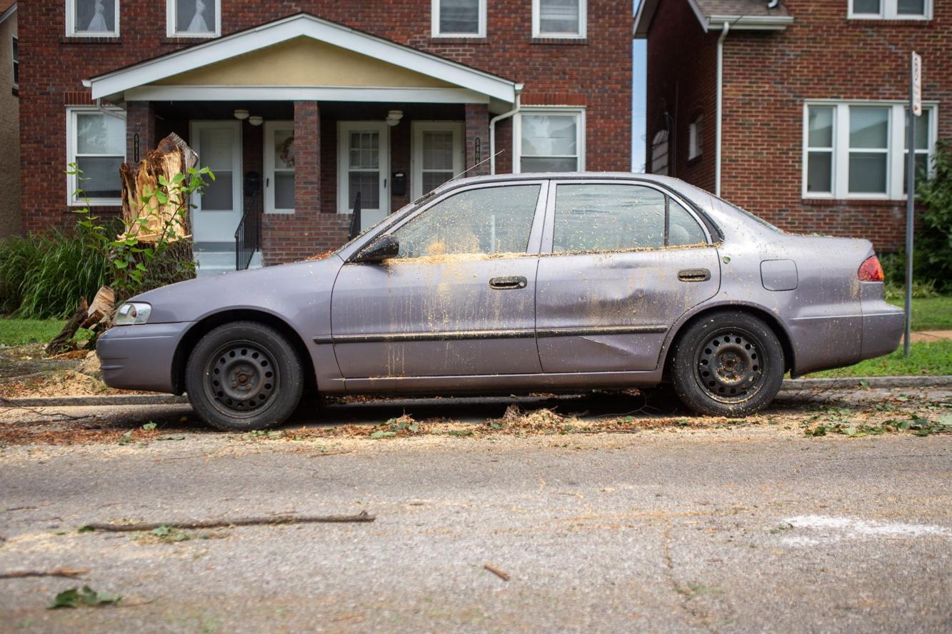 Photos After strong storm, St. Louis area assesses the