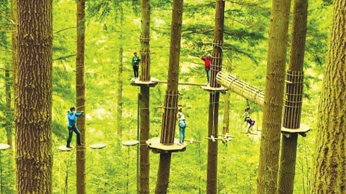 Outdoor Adventure Course Could Come To Greensfelder County Park Metro St Louis News Stltoday Com