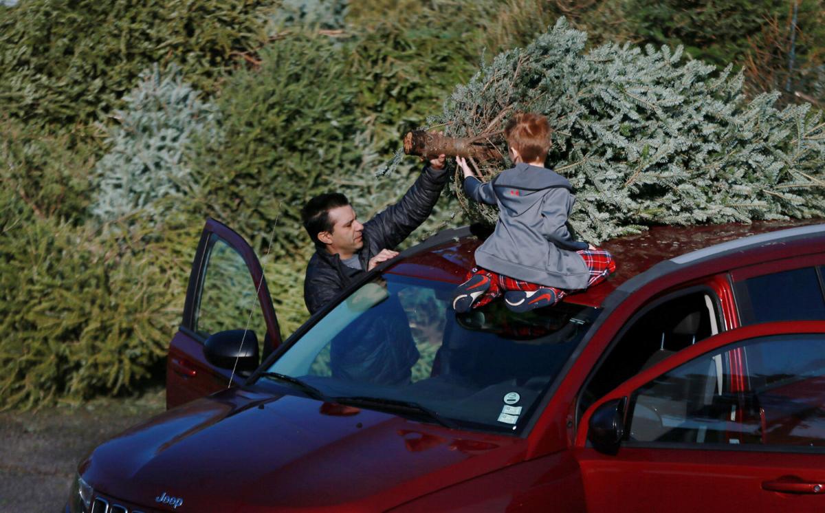 Christmas Light Recycling St Louis Shelly Lighting