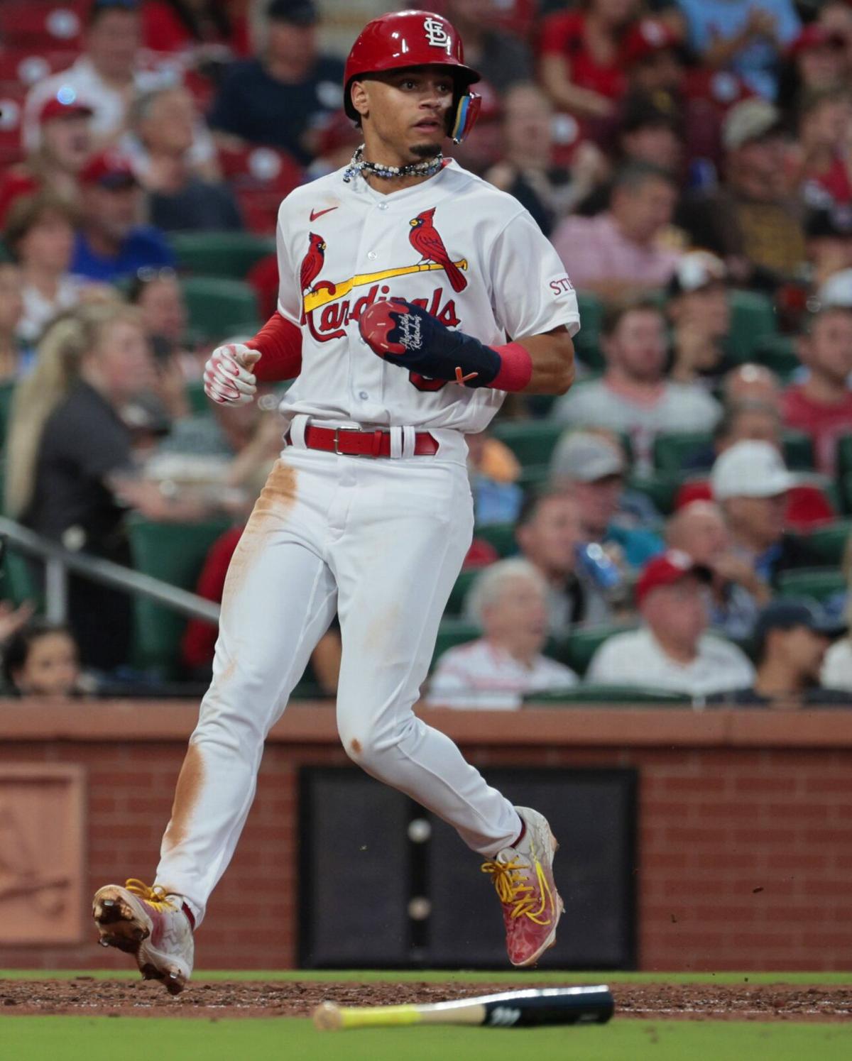 MLB Network on X: There's a new face behind the dish in St. Louis. 🍽️ Willson  Contreras and the @Cardinals are reportedly in agreement on a 5-year deal.   / X