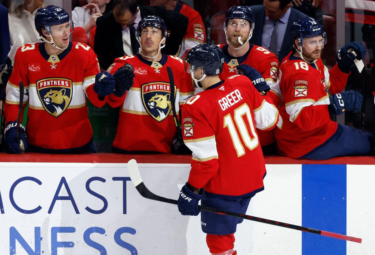 Blues Panthers Hockey