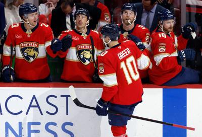 Blues Panthers Hockey