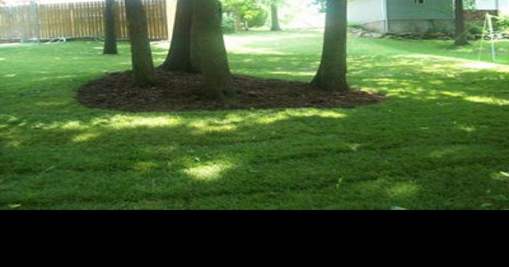 TAKING CARE A backyard revival