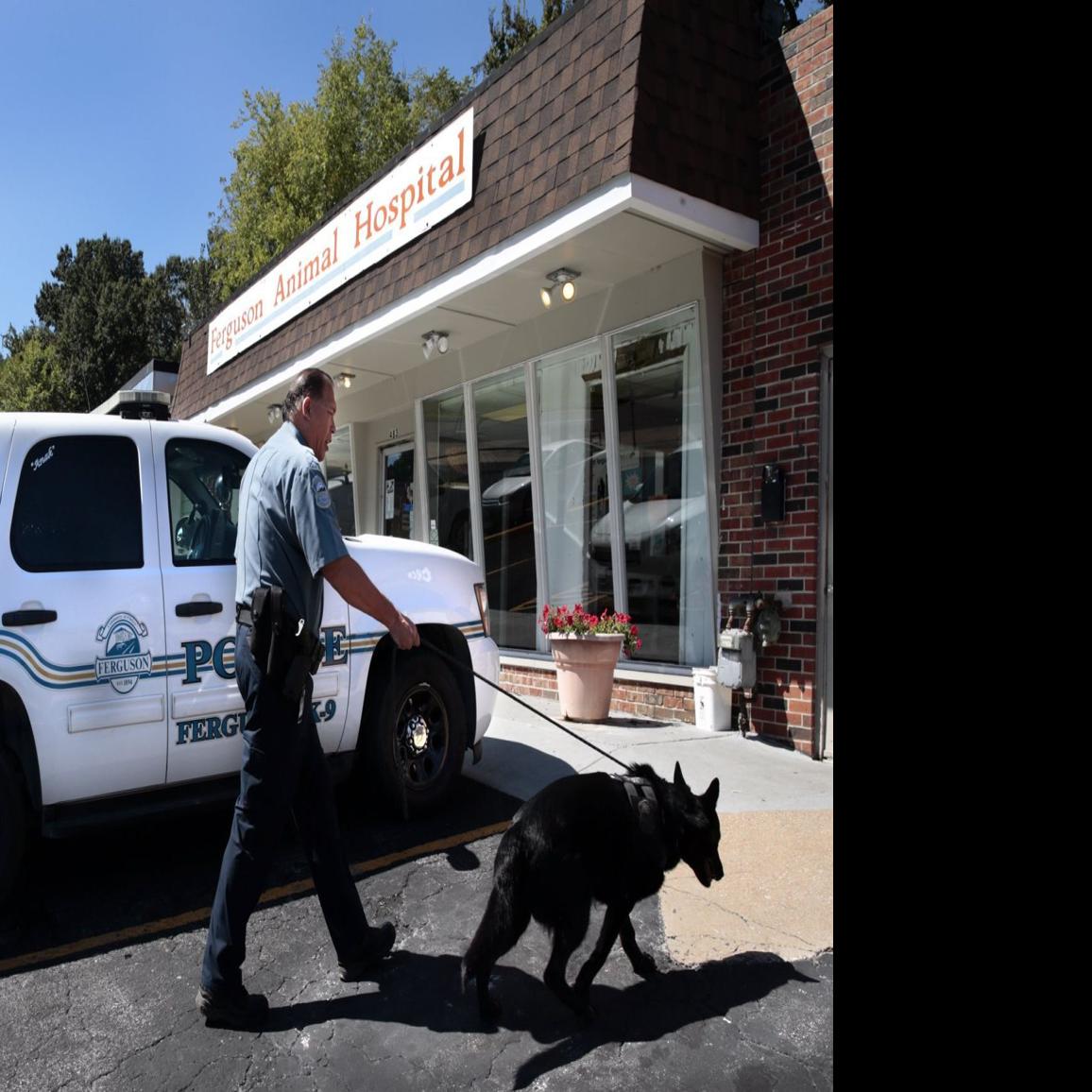 boost penalties for police dog assaults