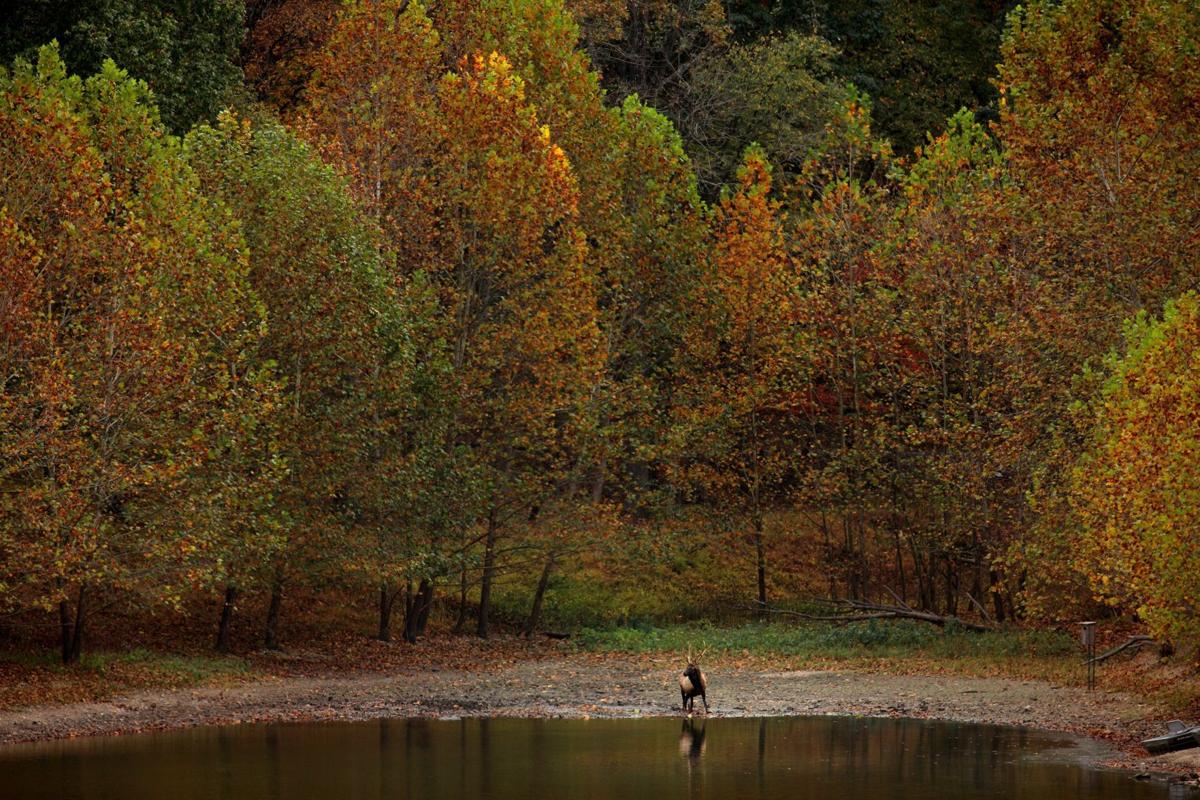 Fall colors 2020