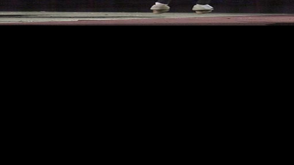 Lipizzaner stallions to perform at Family Arena | Local St. Charles