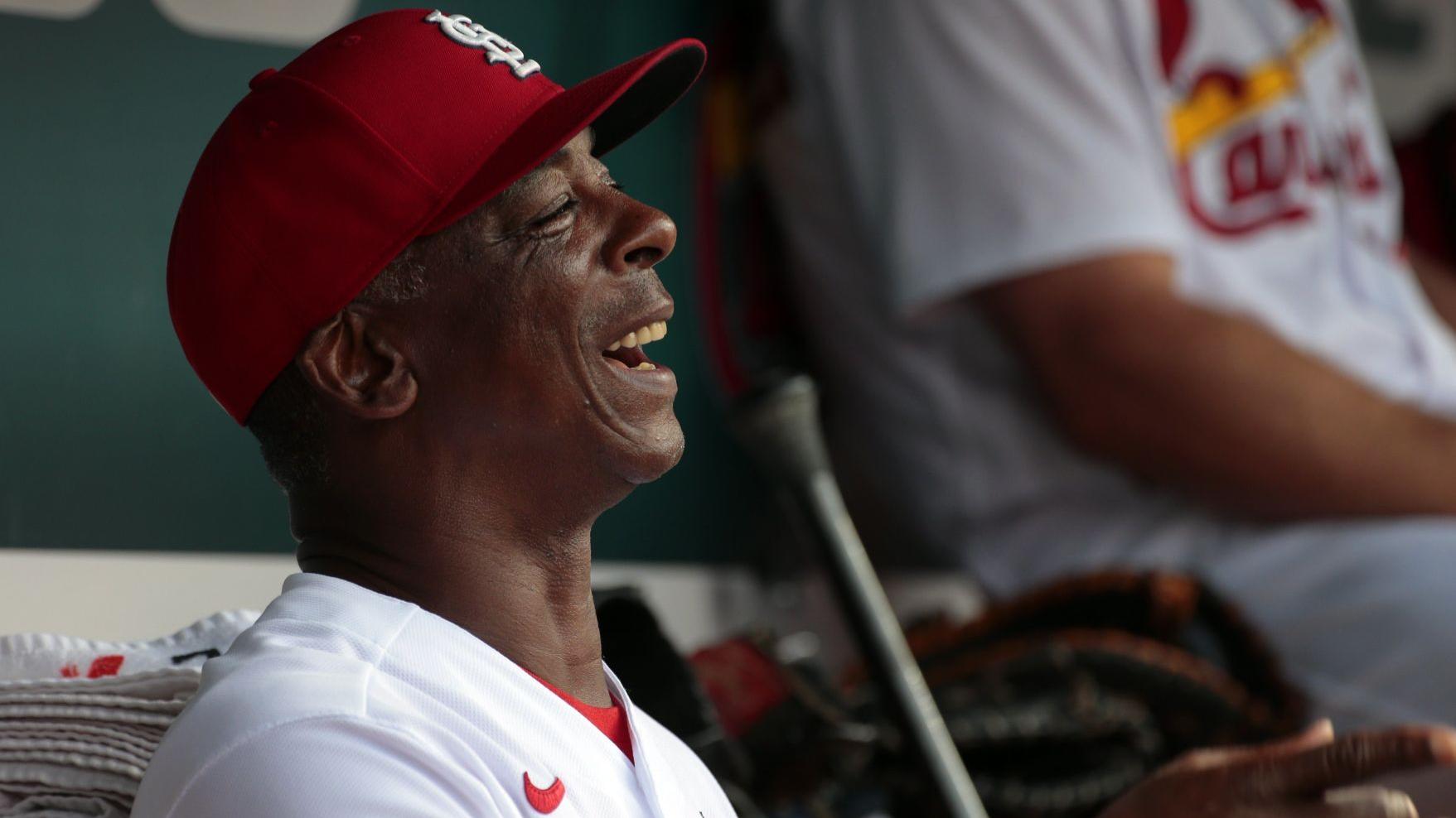 Steady hand: Fan-favorite McGee is a key part of Cards coaching staff now