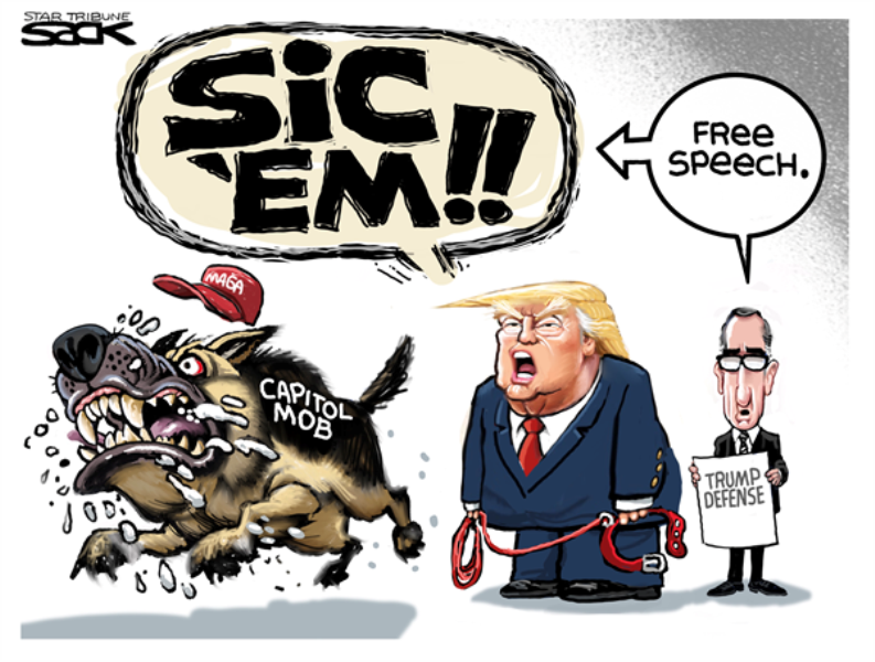 In The Cartoons Senate Impeachment Trial Editorial Stltoday Com