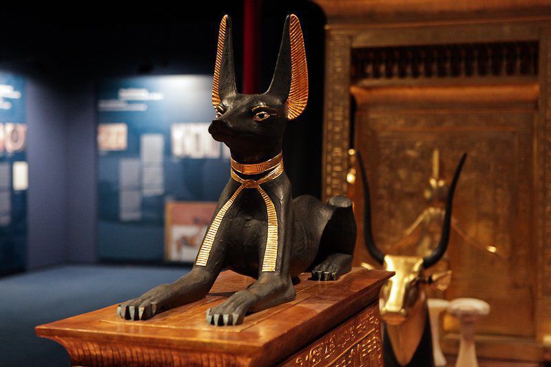 St. Louis Science Center exhibition gives a peek inside King Tut's tomb
