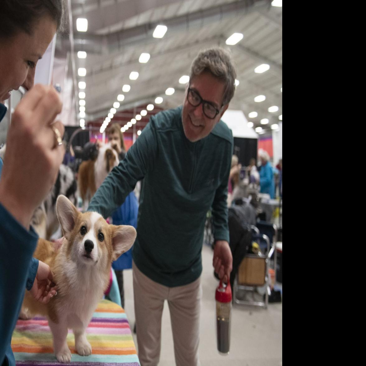 Maplewood Man Named A Westminster Dog Show Judge Proves He S A