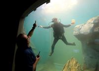 St. Louis Aquarium preps for grand opening