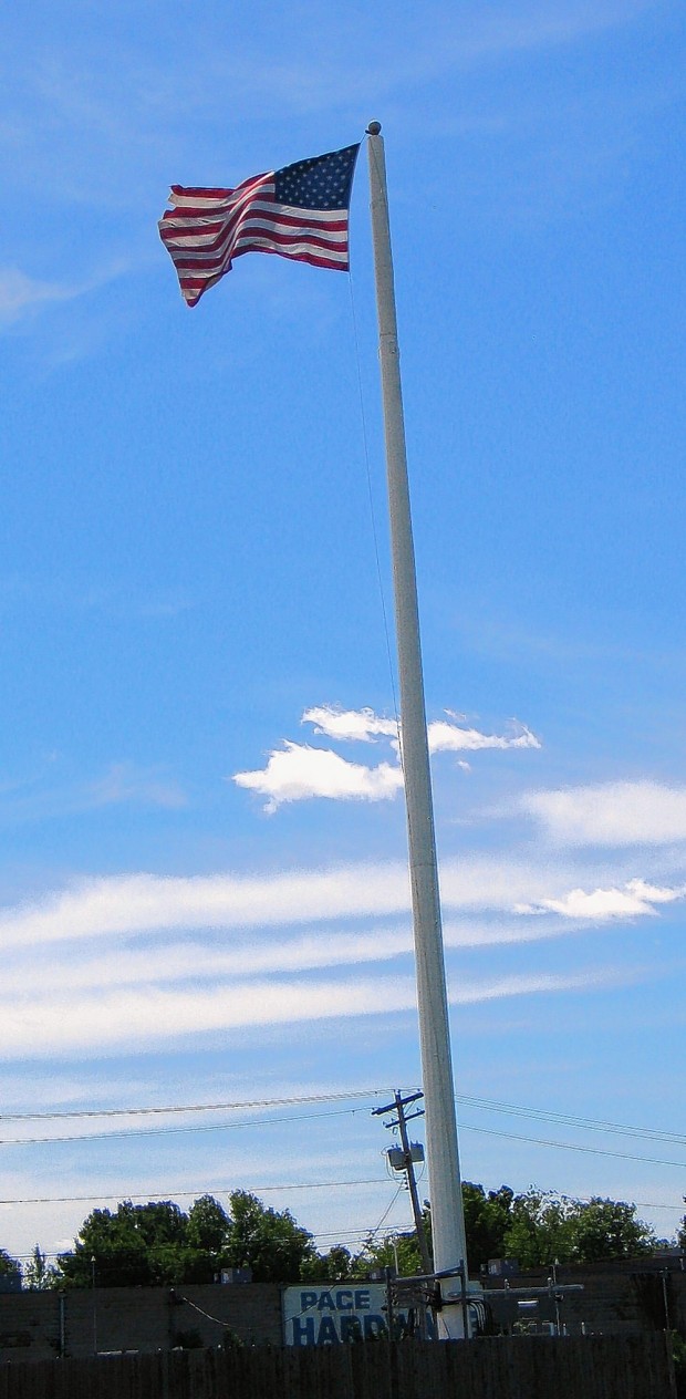 Granite City Coupons >> Many ways to camouflage a cell tower in Granite City : suburban journals branding Granite City Coupons >> Many ways to camouflage a cell tower in Granite City : suburban journals branding