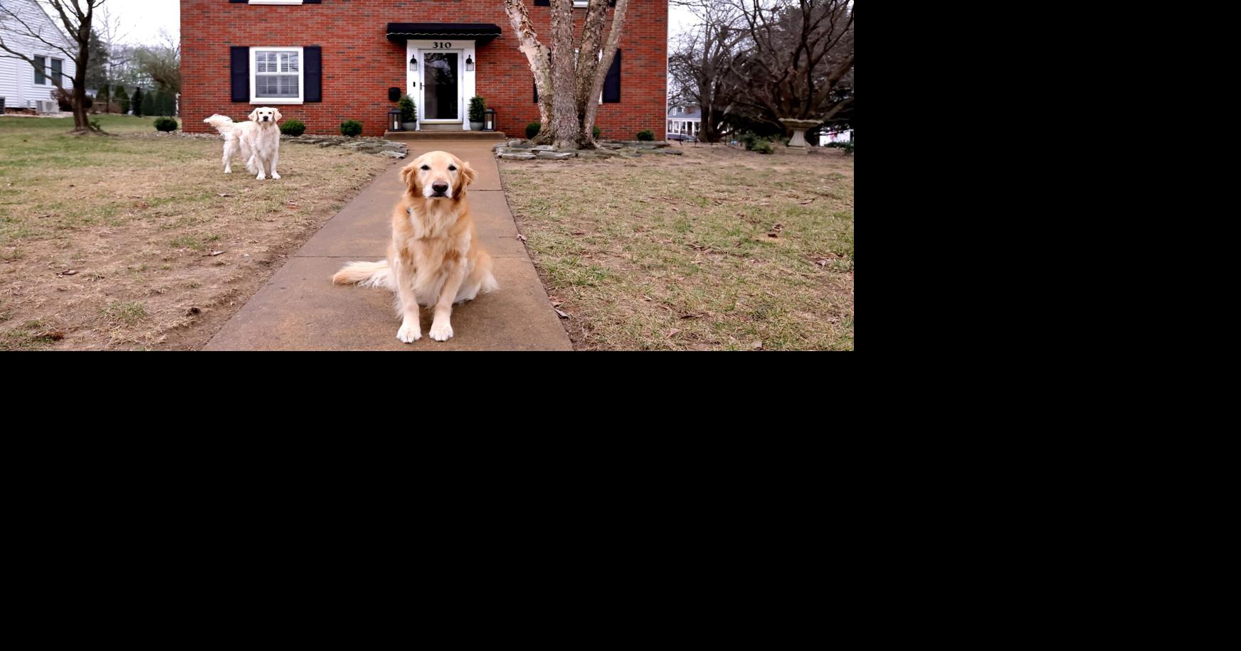 Photos: At Home with Chris and Nancy Schroeder in Edwardsville
