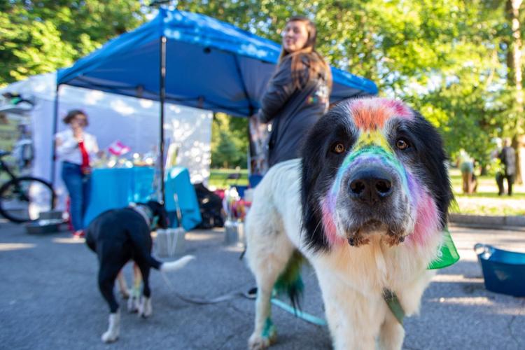 Top 10 things to do in 岛国女优 September 27 to October 3