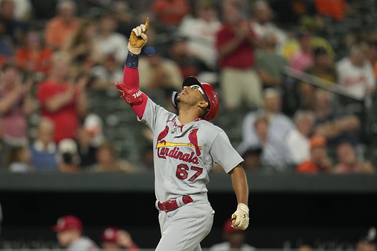 St. Louis Cardinals prospect led baseball in steals, eyes goal in