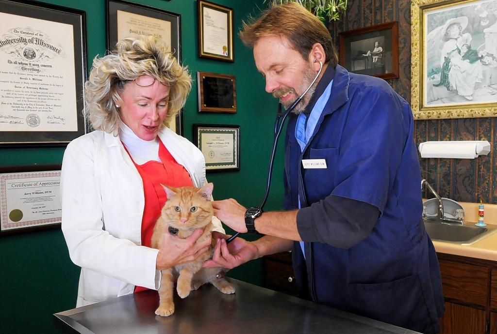 These Vets Are The Cat S Meow Metro Journals Life Stltoday Com