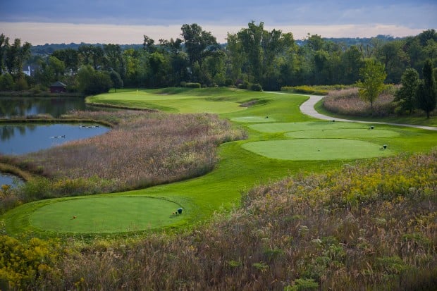 what is a persimmon golf club what is a persimmon golf club