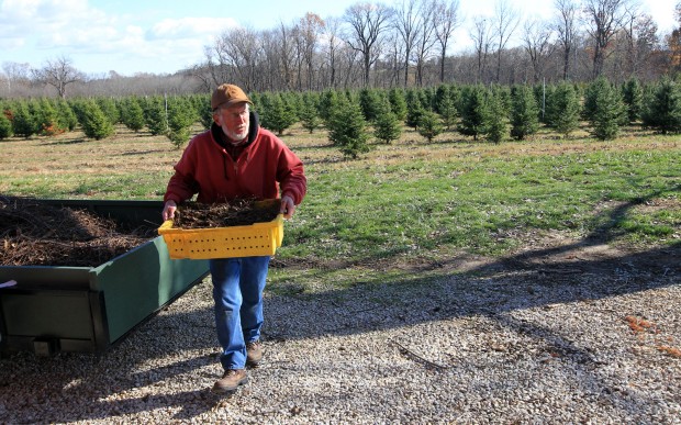 Drough halves pecan crop; prices surge for Holiday season