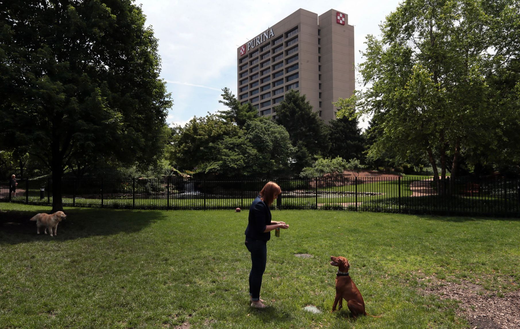 Nestle purina clearance hq