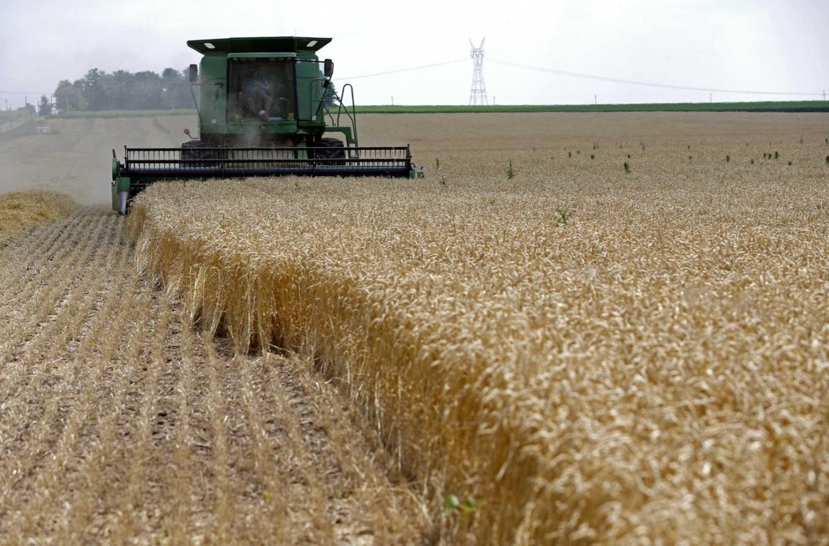 File photo of a combine driving over stalks of soft red winter wheat during the harvest on a farm in Dixon, Illinois