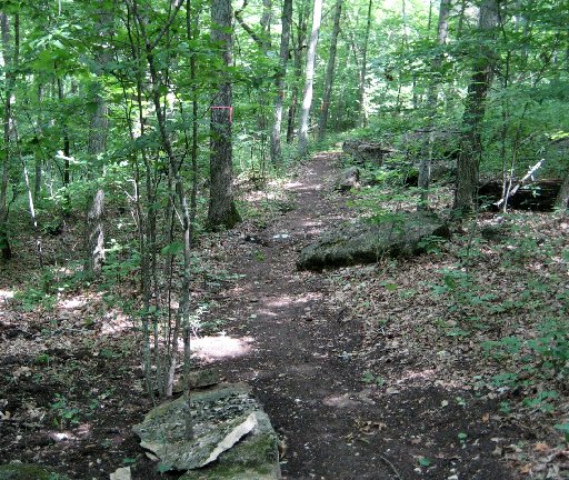 matson hill mountain bike trail