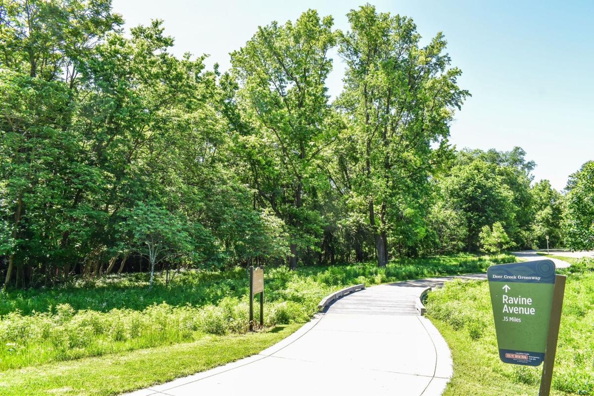 Riparian Corridor Restoration Begins at Lorraine Davis Park