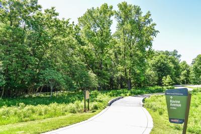 Riparian Corridor Restoration Begins at Lorraine Davis Park