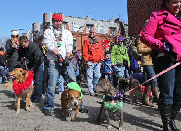 The sun came out for the annual pet parade | News | stltoday.com