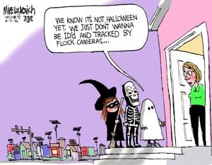 Cartoon: Flock cameras