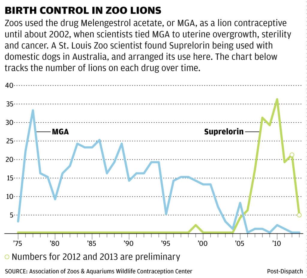 What Happens When Zoo Contraceptives Work Too Well Politics Stltoday Com