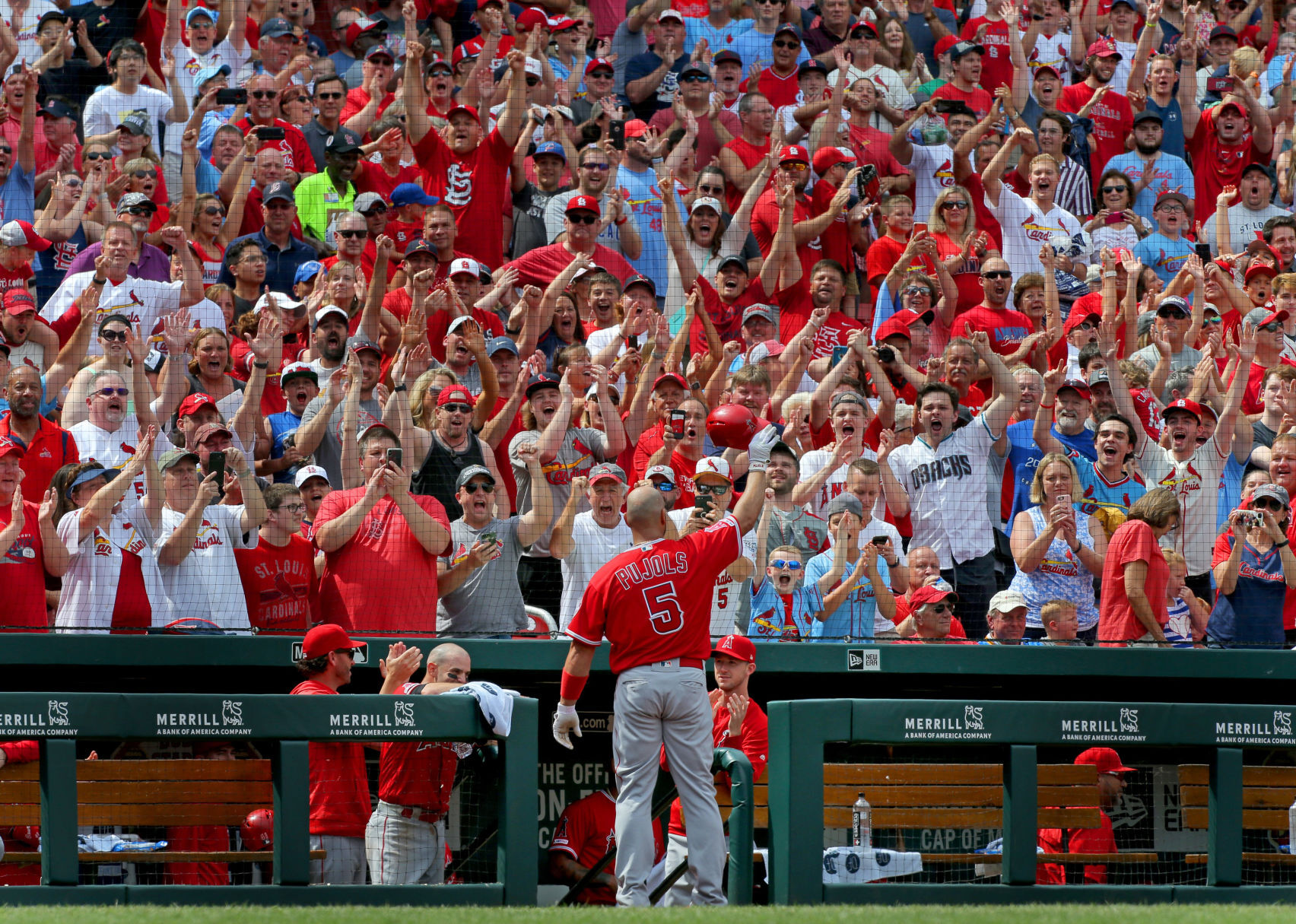 stltoday.com - Ben Frederickson - BenFred: A Cardinals-Pujols reunion would have been compelling drama, but the lack of a fit preserved his unblemished on-field legacy in St. Louis