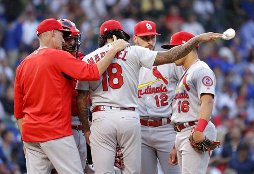 Yadier Molina threw a rosin bag in Adam Wainwright's face and