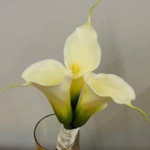 016_Walter Knoll Florist