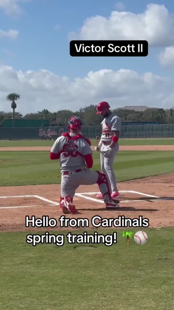 stltoday.com - Daniel Guerrero | Post-Dispatch - Packy Naughton's road to recovery led him back to Cardinals camp - and real estate