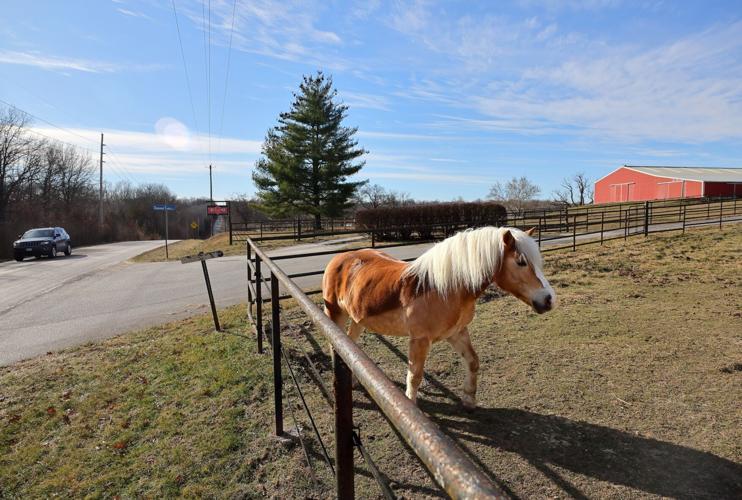 Data center proposed at Diamond Farms in Franklin County