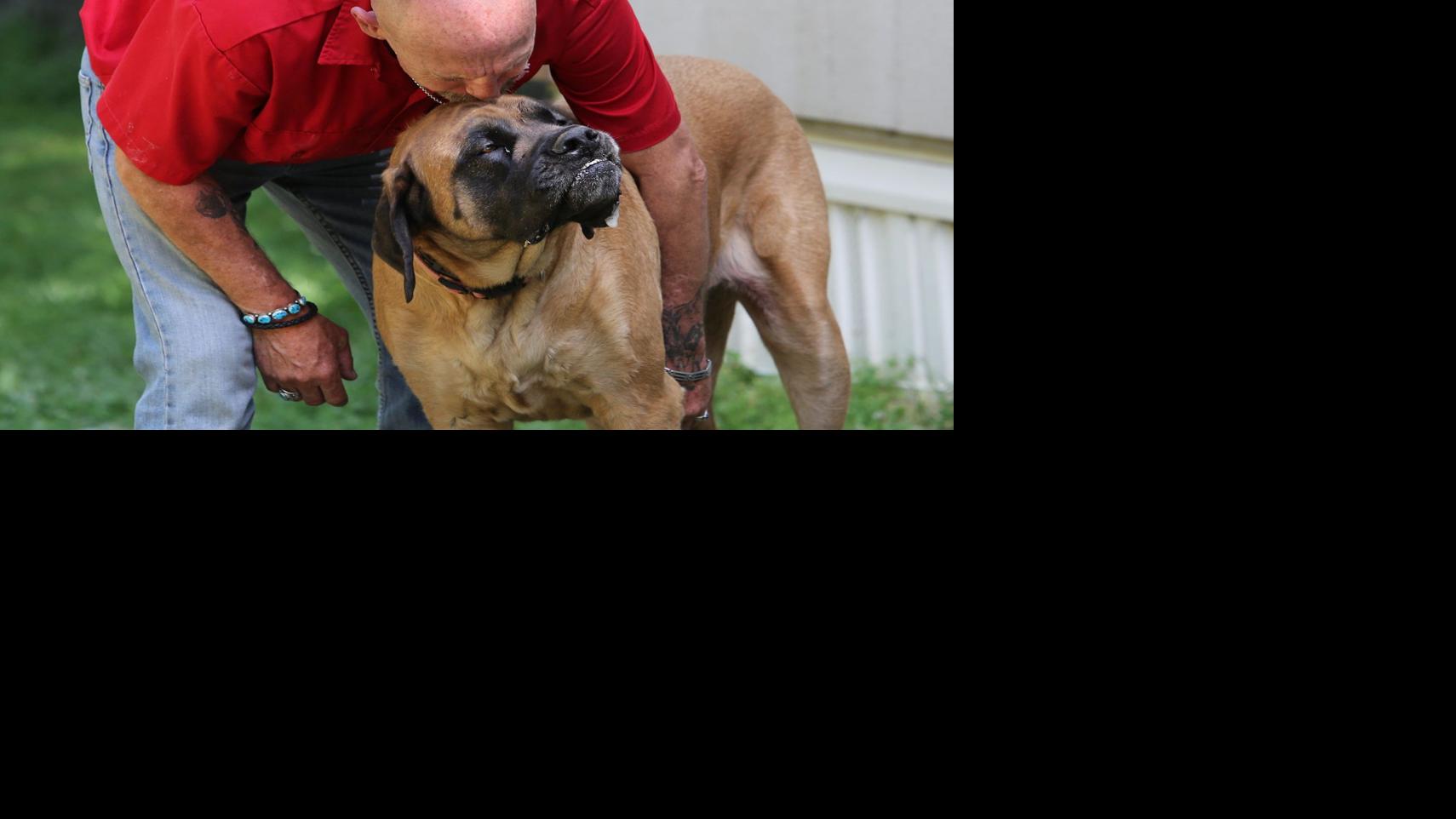 Watch Alpha Dog Online Forbes