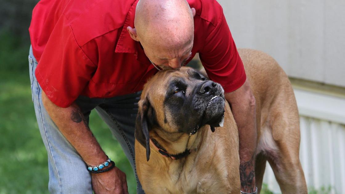 Watch Alpha Dog Online Forbes Watch Alpha Dog Online Forbes