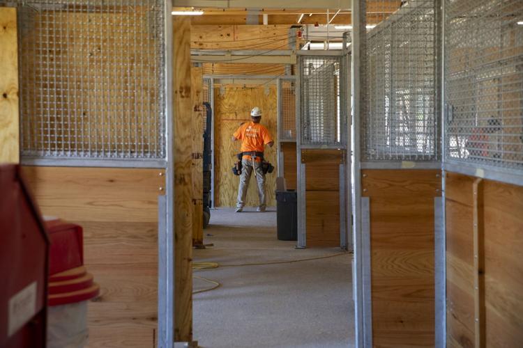 A look at the St. Louis Zoo WildCare Park in St. Louis County