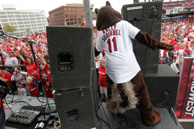 Fun Traditions. Rally Squirrel, Mud Cat band, and the…, by Cardinals  Insider