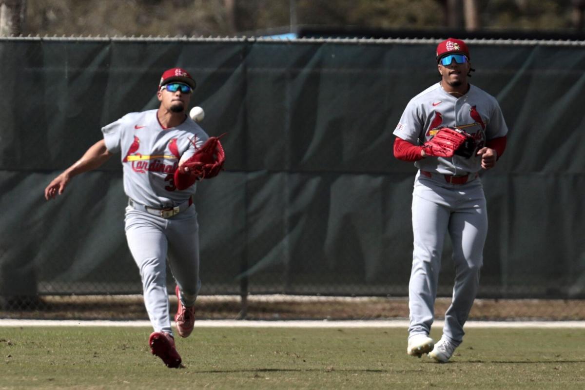 Cardinals Monday workout