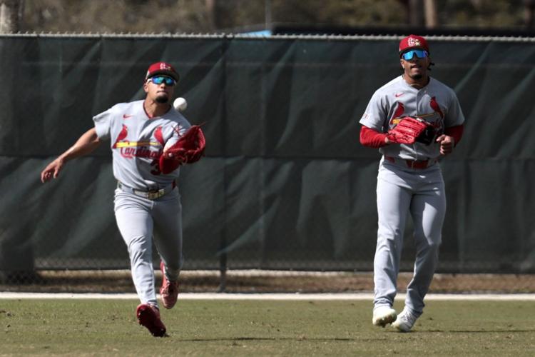 Cardinals Monday workout