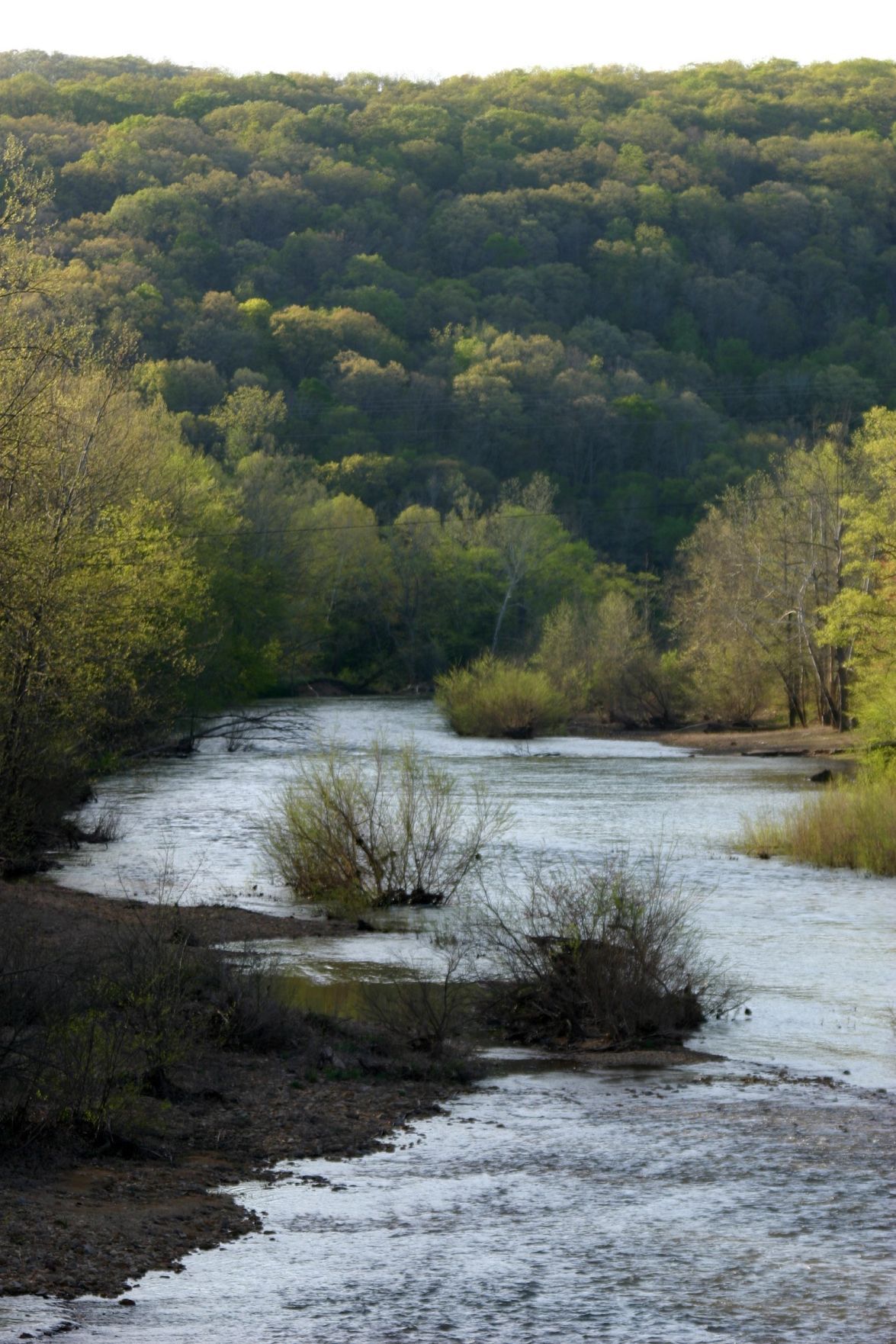 Conservation Areas In Southeast Missouri