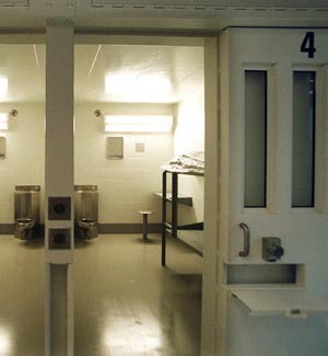 Suit blames St. Louis jail medical care in inmate&#39;s death | Law and order | www.strongerinc.org