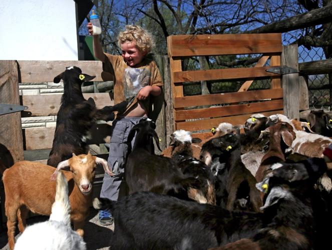 Grant Farm's opens for 62nd season