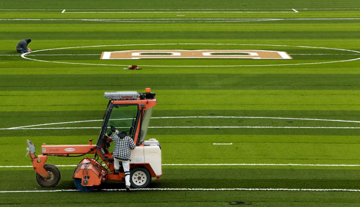 Bayless' new turf