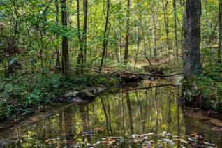 Don Robinson State Park