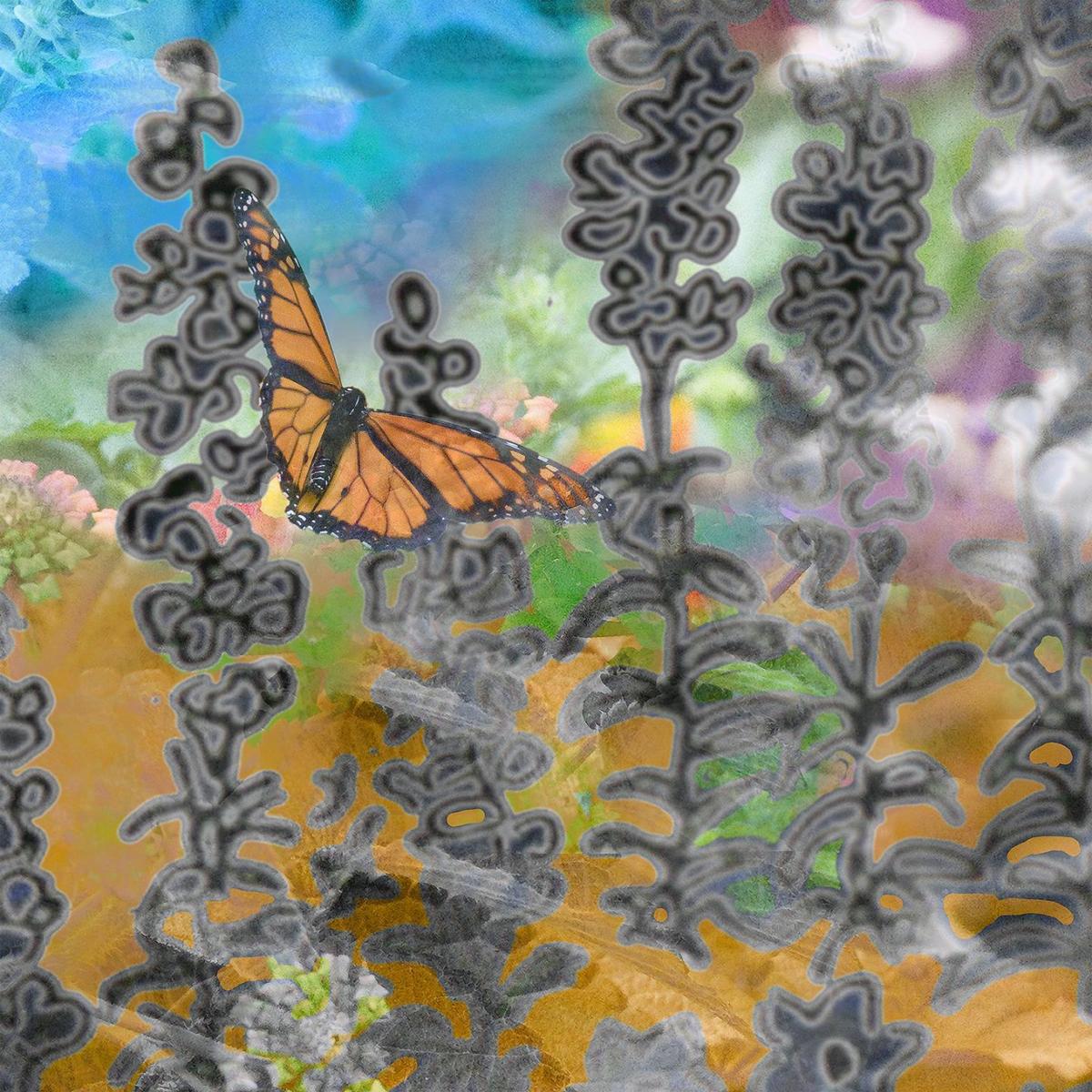 Made In St Louis Creve Coeur Artists Blends Photos Nature Into